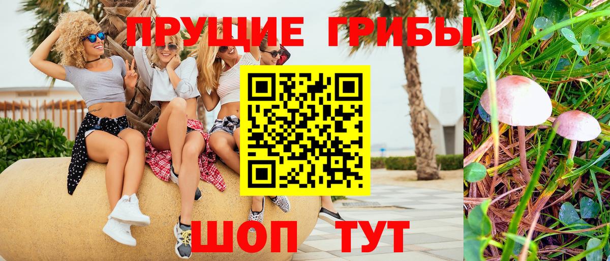 Канабис Фролово