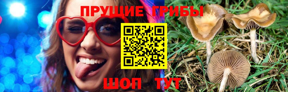 Псилоцибиновые грибы прущие грибы  Вход с VPN  Фролово 